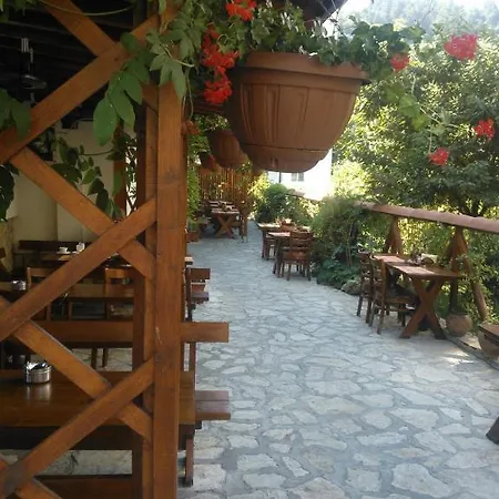 Hotel Family Veronika 2*