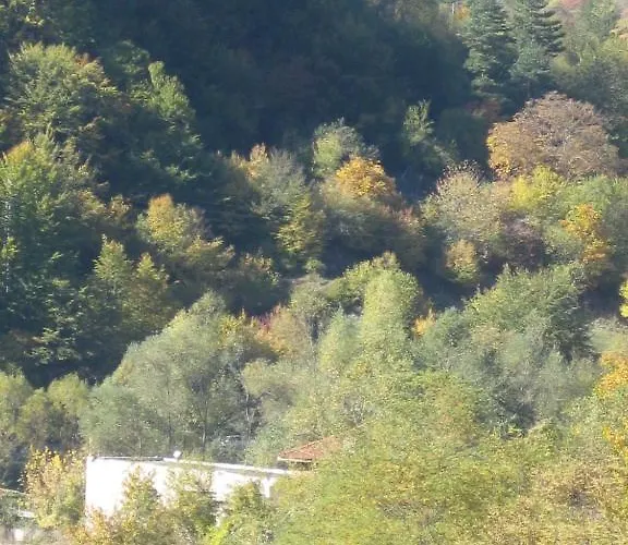 Family Veronika מלון 2*