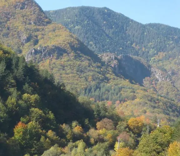 Family Veronika מלון